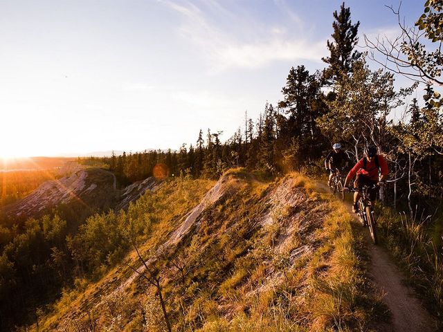 Sportchalet Viehhofen Ferienhaus